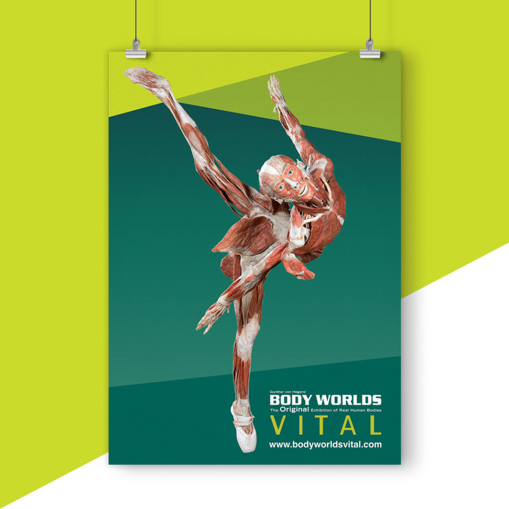 Body Worlds Vital – Melbourne